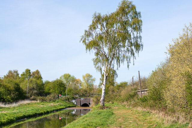 A spur of the Main Drain and some ruins, Swanpool, Lincoln