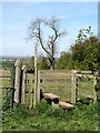 SE4199 : Path to Deepdale Farm by Gordon Hatton