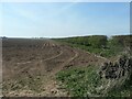 TA1672 : Bare field, south of Grindale Road by Christine Johnstone