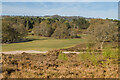 TQ2350 : Reigate Heath by Ian Capper