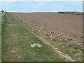 TA1874 : Public footpath to Buckton cliffs by Christine Johnstone