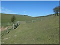 TA0477 : Footpaths crossing, Lang Dale by Christine Johnstone