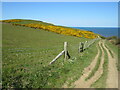 NZ9506 : Cleveland Way near Robin Hood's Bay by Malc McDonald