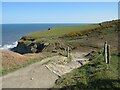 NZ9507 : Cleveland Way near Robin Hood's Bay by Malc McDonald