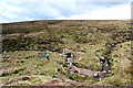 NY8700 : Footbridge over Blackburn Beck by Andy Waddington