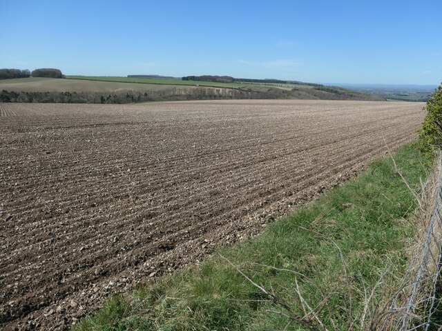 Chalky field, Sked Dale Top