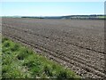 SE9775 : Chalky field, south-west side of Simon Howe by Christine Johnstone