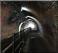 SP0585 : Edgbaston Tunnel on the Worcester and Birmingham Canal by Mat Fascione