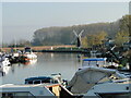 TM4599 : River Waveney downstream from St Olave's Bridge by Adrian S Pye