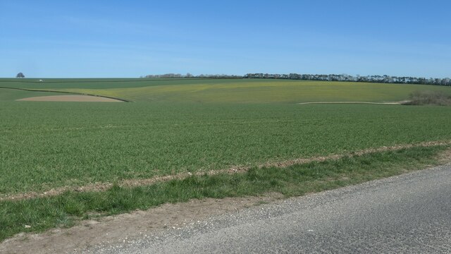 Farmland at Newlands, east of Newlands Lane