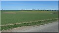 SE9271 : Farmland at Newlands, east of Newlands Lane by Christine Johnstone