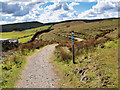 SD9318 : Pennine Bridleway at Grimes by David Dixon