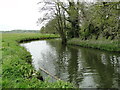 TM3390 : River Waveney upstream from the footbridge by Adrian S Pye