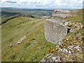 SO1224 : Rock outcrops on Allt yr Esgair by Philip Halling