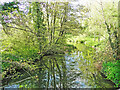 TM2956 : River Deben downstream from Glevering Bridge by Adrian S Pye