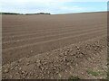 TA2272 : Ploughed field, North Cliff, Flamborough by Christine Johnstone