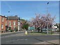 SE3321 : Blossom time on Northgate, Wakefield by Christine Johnstone