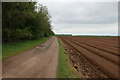 TL7769 : Footpath past Great Plantation by Hugh Venables