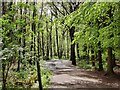 SJ5414 : Geo trail at Haughmond Hill by Mat Fascione