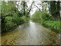 TM3152 : The River Deben at Eyke by Adrian S Pye