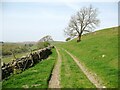 SD2787 : The Cumbria Way near Gutter Nook by Adrian Taylor