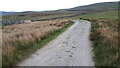 SD7983 : The Pennine Bridleway, approaching Newby Head Gate by Rich Tea