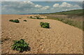 SY5286 : Coast path near West Bexington by Derek Harper