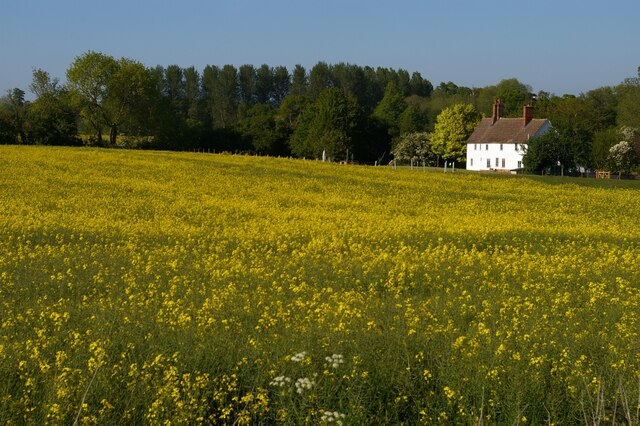 Looking down to Park Cottages