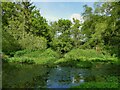 SJ7674 : Ponds in Ambrose Acre by Stephen Craven