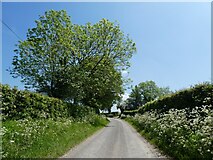  : Stone Lane by Roger Cornfoot