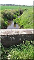 NY3967 : Hall Burn viewed over parapet of Brisco Hill Bridge on SW side of A6071 by Roger Templeman