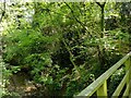 SK6245 : Footbridge across Bottom Dumble  3 by Alan Murray-Rust