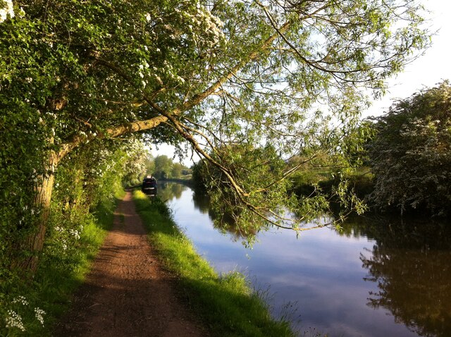 Coventry Canal looking southwards, with overhanging willow