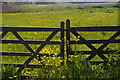 TM3957 : Gate onto marshes, Snape by Christopher Hilton