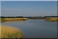 TM3957 : River Alde downstream of Snape by Christopher Hilton