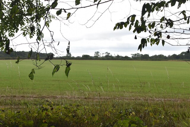 Farmland, Fickleshole