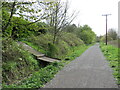 NZ8909 : Cinder Track near Whitby by Malc McDonald