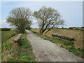 NZ9208 : Cinder Track near Hawsker by Malc McDonald