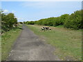 NZ9407 : Cinder Track near Hawsker by Malc McDonald