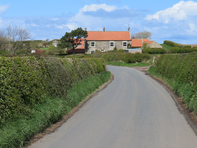 Cliff Lane, near Whitby