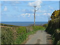 NZ8711 : Cliff Lane, near Whitby by Malc McDonald