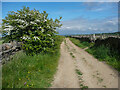 SE0632 : Thornton Moor Road at the footpath crossing, Denholme by Humphrey Bolton