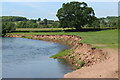 SO3309 : Low cliff, right bank of River Usk by M J Roscoe