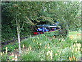 TM0780 : Steam locomotive "Alan Bloom" on the Garden Railway, Bressingham by Chris Holifield