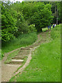 SO8101 : Path in Woodchester Park by Chris Allen