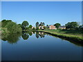 SJ7087 : The Paddock, Stage Lane, Oughtrington by Christine Johnstone