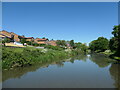 SJ5581 : Bridgewater canal near Wolverton Drive, Norton by Christine Johnstone