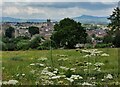 SO5074 : Ludlow viewed from the Whitcliffe Common Nature Reserve by Mat Fascione