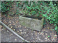 SJ9490 : Watering trough, Hyde Bank by Mr Red