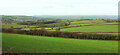 SX8261 : Fields near Berry Pomeroy by Derek Harper